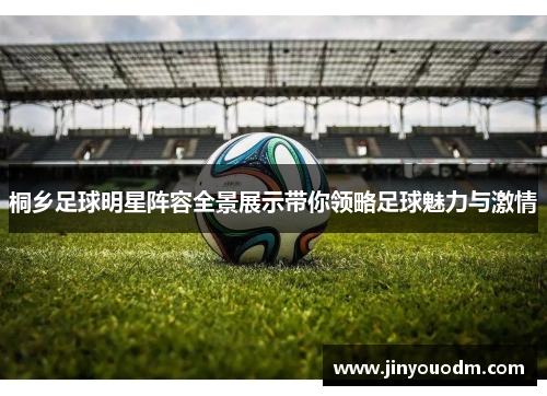 桐乡足球明星阵容全景展示带你领略足球魅力与激情