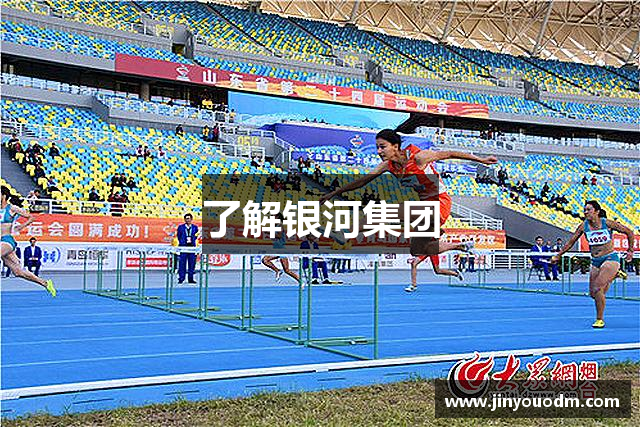 了解银河集团